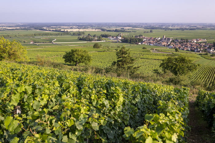 Expérience Collection - La Côte de Beaune en 8 Chapitres. 