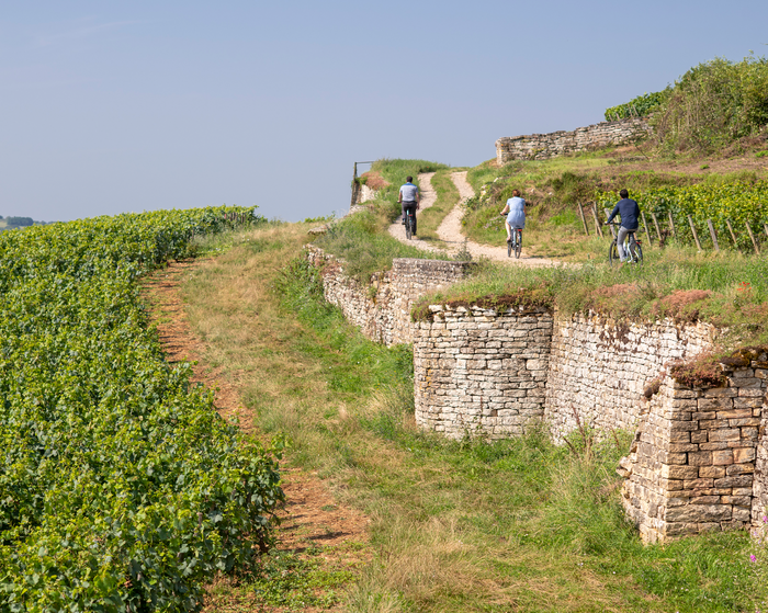En selle pour les Terroirs de Santenay