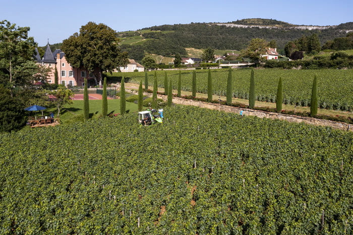 Les Climats & Pique-nique