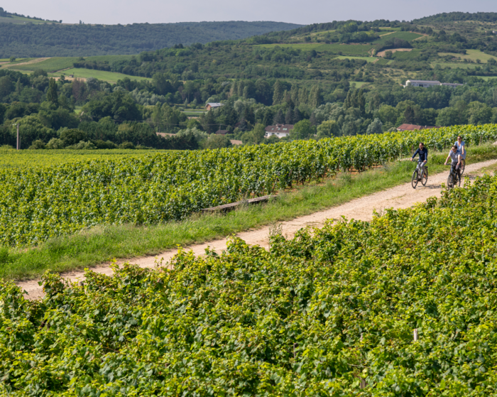 En selle pour les Terroirs de Santenay & Pique-nique